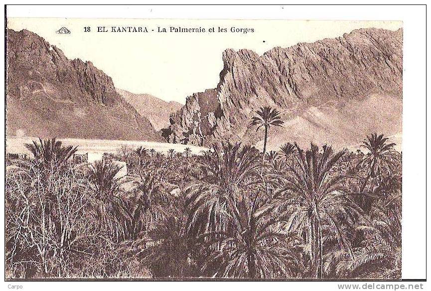 EL-KANTARA. - La palmeraie et les Gorges.