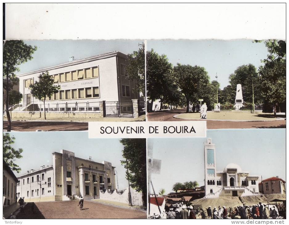 *** ALGERIE - Souvenir de BOUIRA - Multivues - Poste *** CPSM Ecrite en 1962 Edts SIRECKY