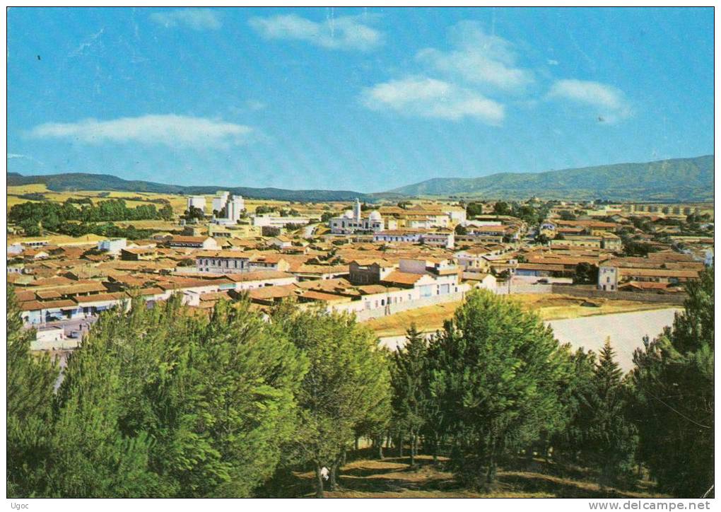 CPSM - BOUIRA - Vue générale - 778