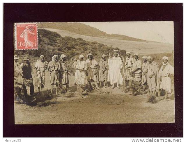 carte photo bouira chasse aux criquets photo signon à bouira , invasion de sauterelles animée