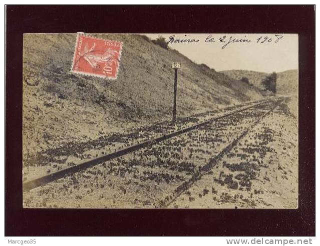 carte photo bouira le 02 juin 1908 sauterelles sur la voie ferrée  photo signon à bouira , invasion de criquets , train