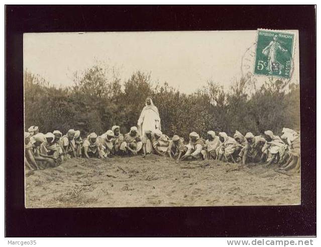carte photo bouira sauterelles recherche des oeufs  photo signon à bouira , animée invasion de criquets