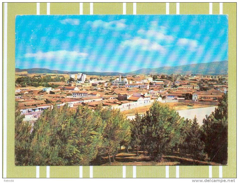 CPM  ALGERIE  -  BOUIRA  -  Vue générale  ( en 1985 )