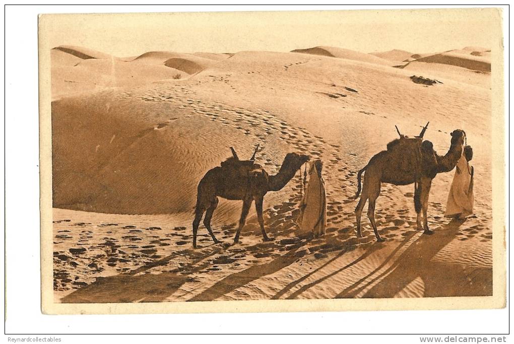 1924 Algeria Camel desert Biskra scene France 30c Sower Constantine a Bouira postmark