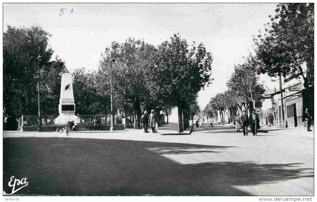 ALGERIE  - DZ-A30  - BOUIRA  -  MONUMENT AUX MORTS