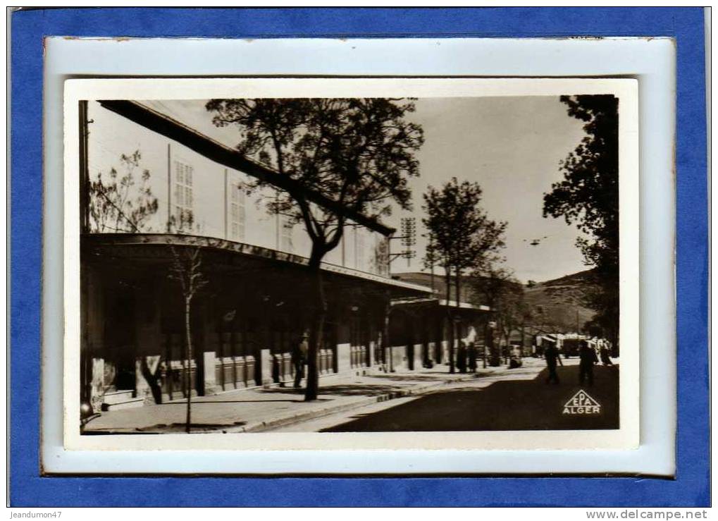 BOUIRA . - . HÔTEL DES COLONIES - N° 7 - EDITIONS PHOTOS AFRICAINES A ALGER