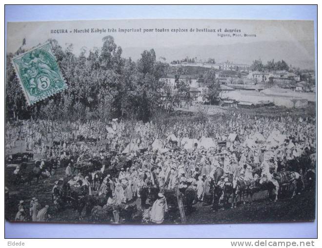 Bouira marche kabyle bestiaux