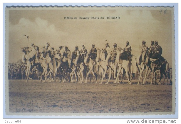 C. Postale  ALGERIE - Scènes & Types - Défilé des grands Chefs du HOGGAR