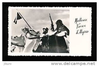 Mini CPSM 11 x 6,4 cm  - Meilleurs voeux d'Algérie ( Editions Jomone ) / Dromadaire Militaire / Hoggar ???? //  CP 8/474