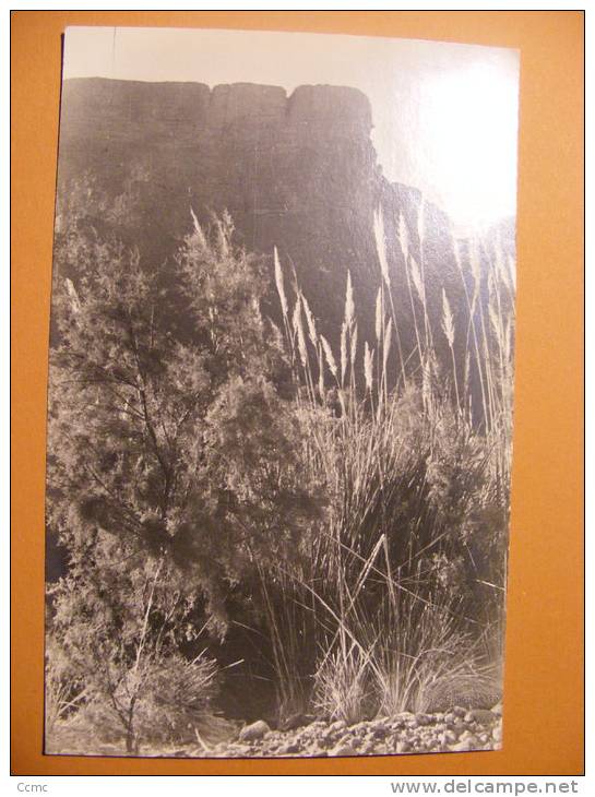 CPM Algerie - Ligne du Hoggar - Gorges d'Arak