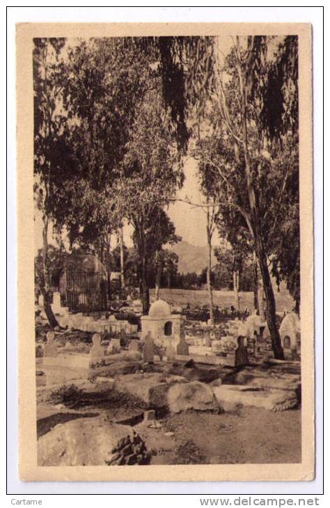 Algérie ALGER Cimetiere d El Kettar Rallye du Hoggar