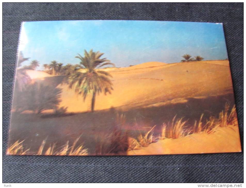 OLD POSTCARD - ALGERIA - HOGGAR - OASIS  #11