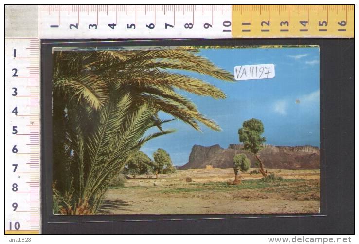 VA4197 ALGERIA HOGGAR ADRIANE