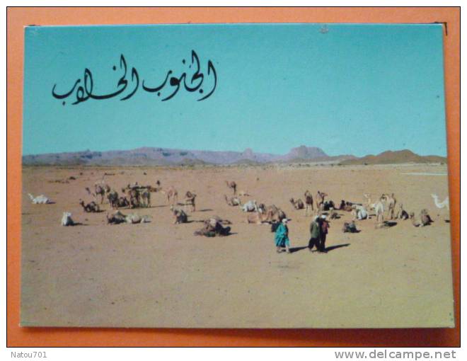 e1-algerie-le hoggar---belle animation-