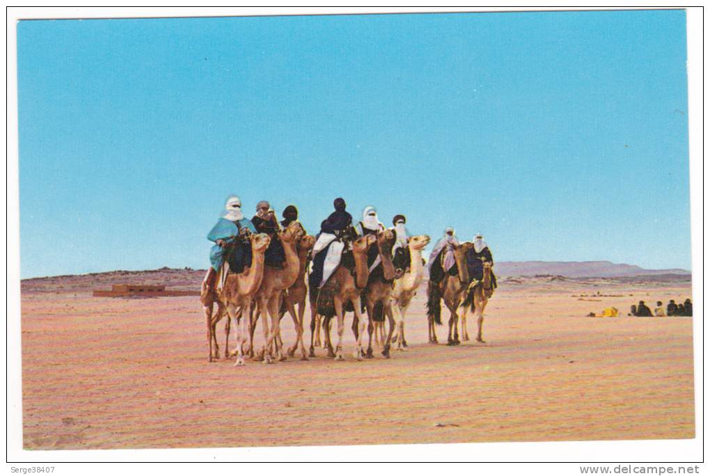 Prix fixe - Hoggar - Un groupe de touaregs - chameaux # 10-10/7