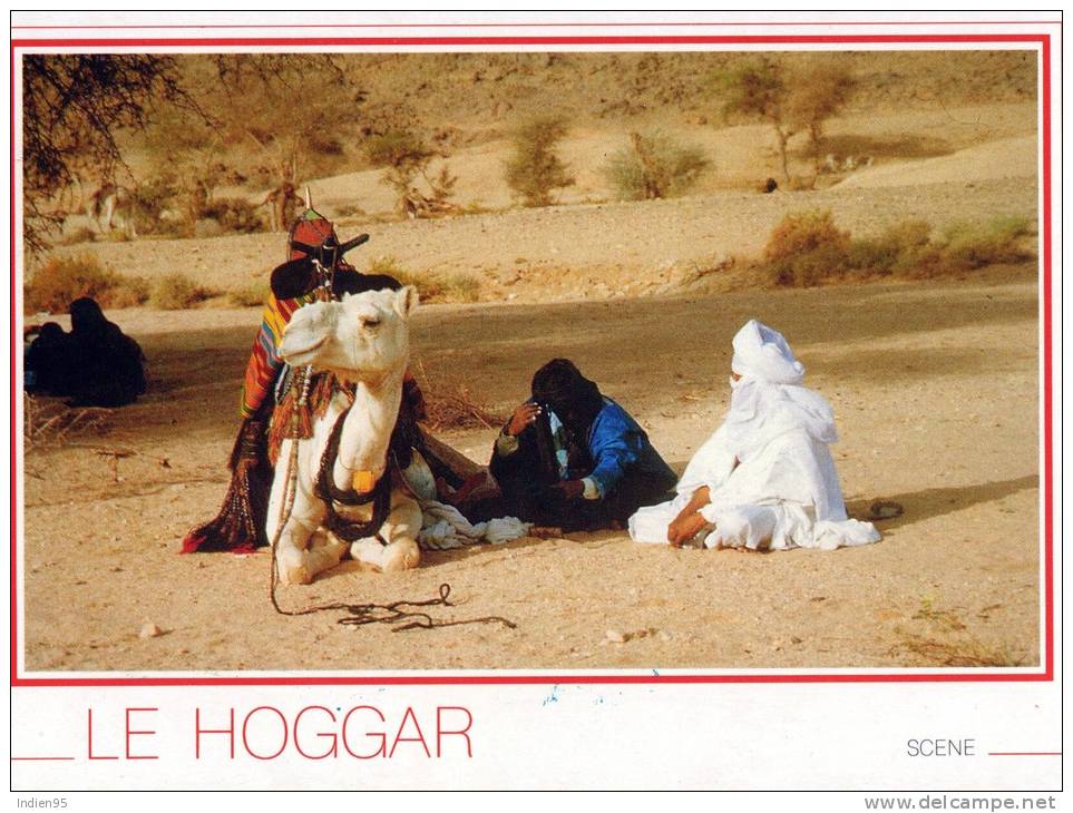 Algérie - Le Hoggar - Les Touaregs, Seigneurs et Guerriers du Désert
