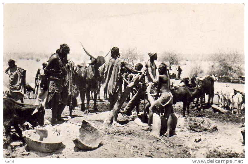 ALGERIE  SCENES ET TYPES  Route du Hoggar Puits D´IN ABBANGARIT