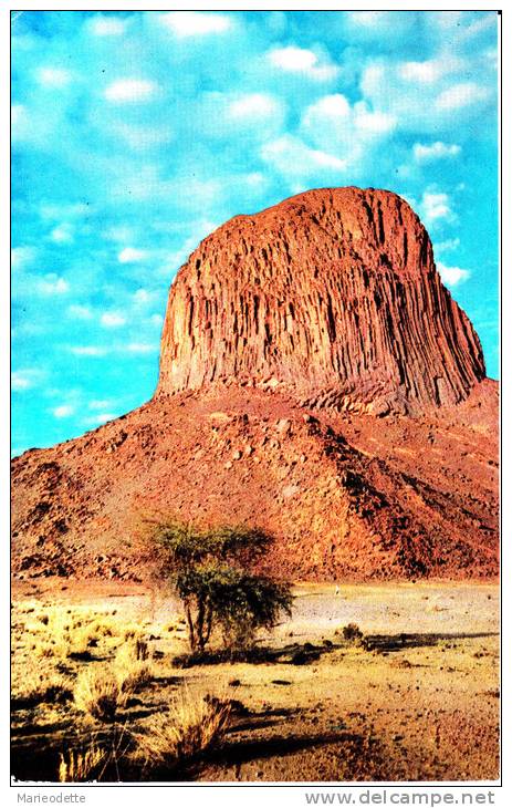 F176 - ALGERIE - HOGGAR - Pic Laperrine   (1965)