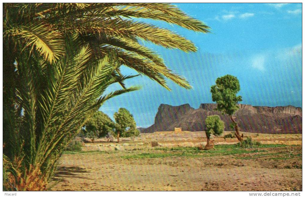 21169  Algeria,  Hoggar,  L