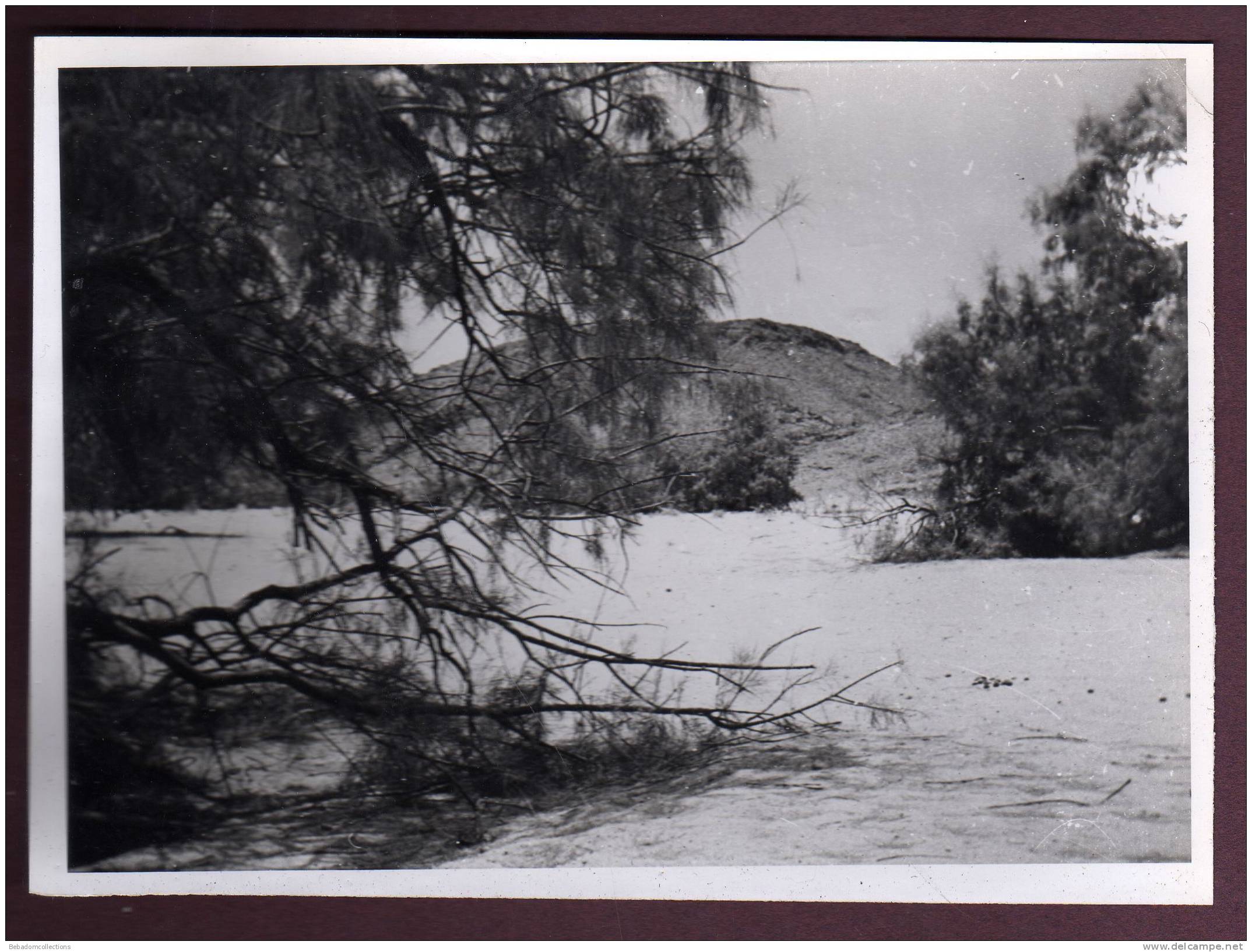 Belle grande photo ALGERIE HOGGAR