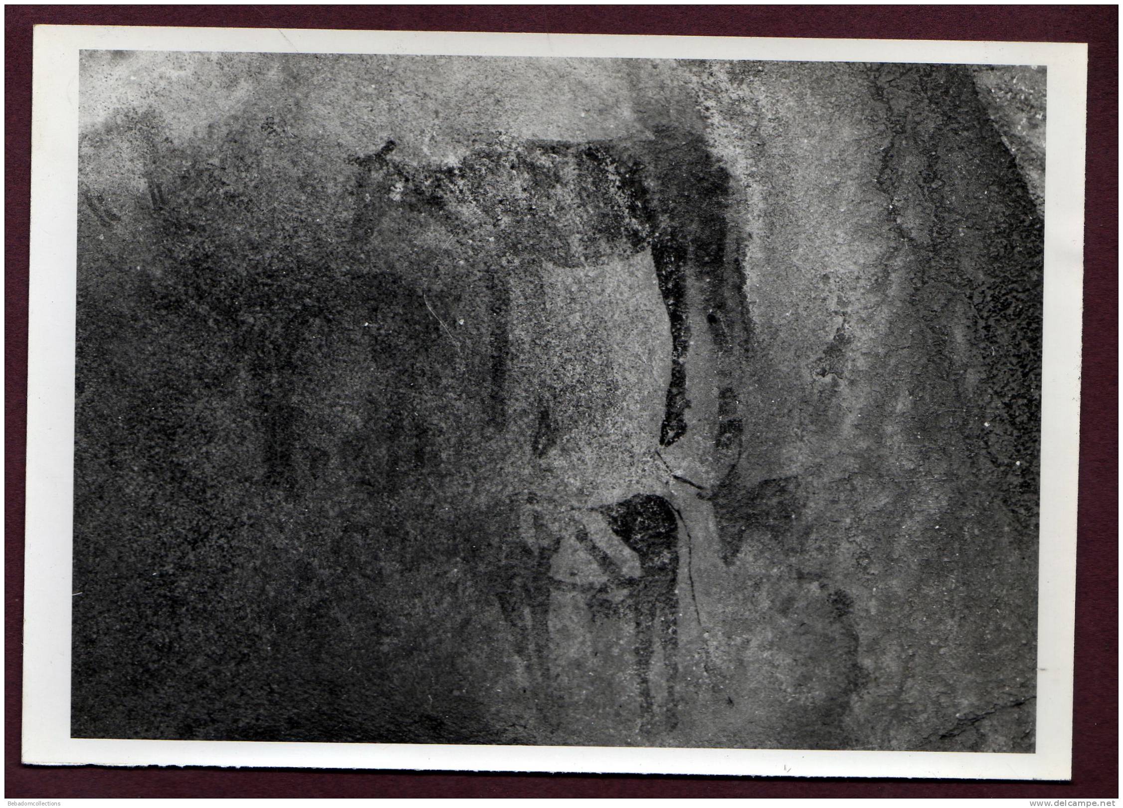 Belle grande photo ALGERIE HOGGAR - PEINTURES RUPESTRES