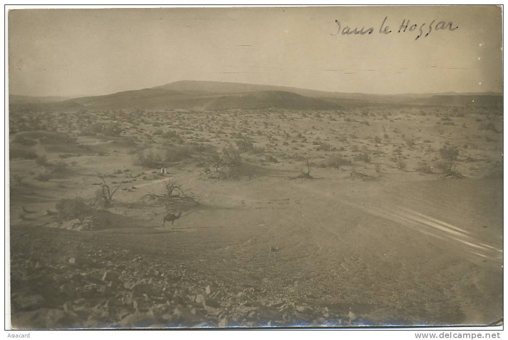 Carte Photo Dans le Hoggar Real Photo Dromadaire