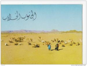 CPM       ALGERIE      LE HOGGAR           CHAMELIERS ET CHAMEAUX