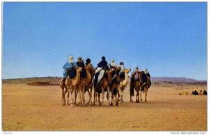 Algérie. Hoggar. Un groupe de Touaregs. Chameaux.