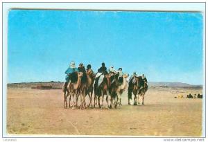 HOGGAR - Groupe de Touaregs