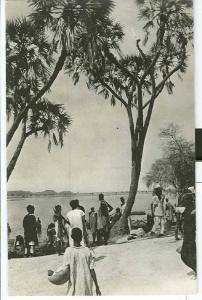 CPA/photo    NIAMEY  Le Niger   Ligne du Hoggar