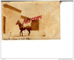Carte photo Géryville Le cheval du Bach Agha Bachagha