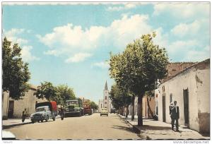 Geryville (Sud-Oranais). l avenue principale (cpsm pm )(att un coin en moin) 70