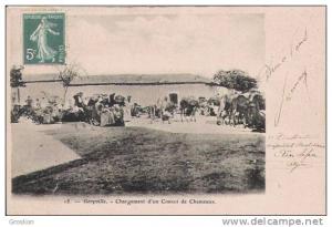 GERYVILLE 18 CHARGEMENT D4UN CONVOI DE CHAMEAUX  (ANIMATION)