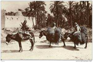 2 CP      Retour à l'Oasis  -  Une caravane.  (écrites de Géryville en 1930)
