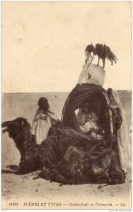 ALGERIE  (Ouled-Nail en Palanquin - carte envoyée de GERYVILLE - REDOUTE - PETIT PRIX