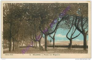 MILIANA .  Pointe aux Blagueurs .  ALGERIE .