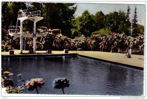 CPSM - MILIANA (Algérie) - Piscine St Antoine