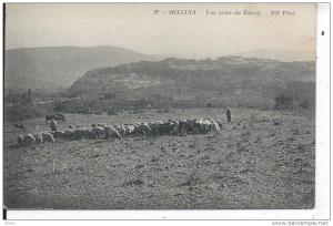 ALGERIE - MILIANA - Vue prise du Zaccar