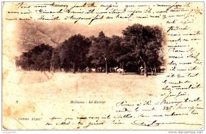 cpa algerie miliana le zaccar n°8 geiser alger