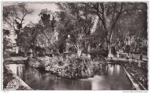 MILIANA JARDIN MAGENTA L'ILOT CPSM 9X14 NEUVE