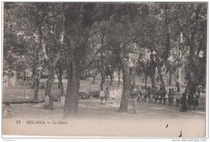 ALGERIE MILIANA LE STAND