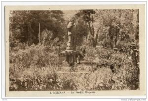 MILIANA  - Le jardin Magenta.
