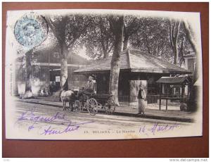 CPA - Algérie - Miliana - Le marché