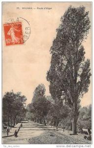 Miliana - Route d'Alger