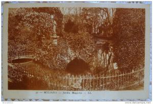 CPA ALGERIE MILIANA JARDIN MAGENTA