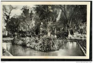 cpsm  20  MILIANA.   Le Jardin Magenta.  L'Ilot