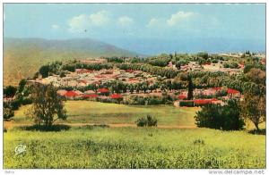 CPSM   Format CPA             Miliana   vue générale    colorisée            G-401
