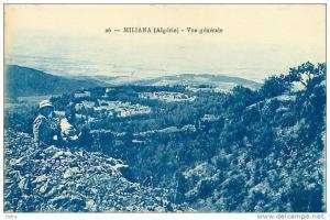 CPA              Miliana     vue générale        animée        D-642