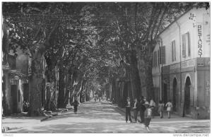 ALGERIE 36 CPSM petit format  MILIANA ALGER la rue saint Paul épicerie Vérou Belle carte animation