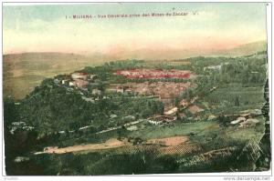Autres villes. Miliana. vue generale prise des mines de Zaccar.